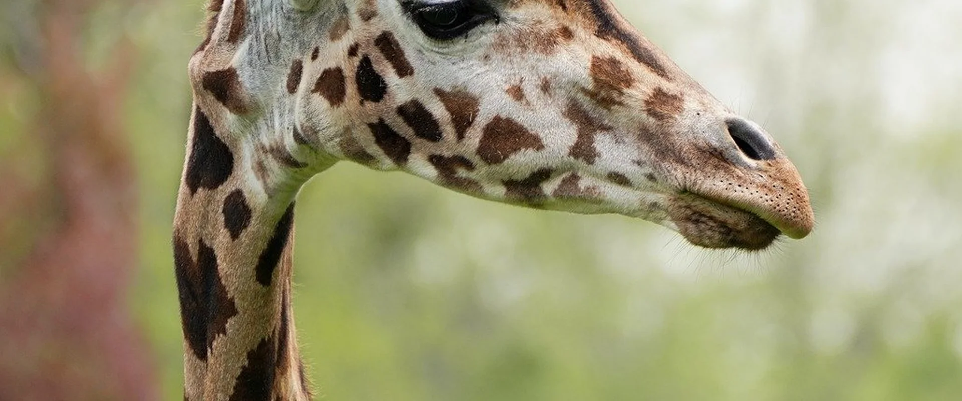 博鱼体育PG电子